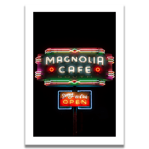 Magnolia, Austin. 2024 - Samuel Ryde Fine Art Phototography