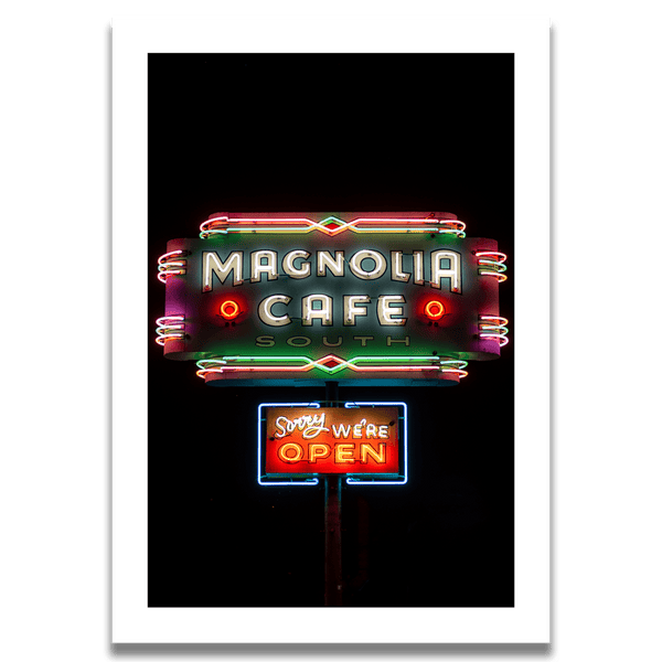 Magnolia, Austin. 2024 - Samuel Ryde Fine Art Phototography