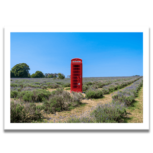 Mayfields Lavender Farm, Surrey. 2020 - Samuel Ryde Fine Art Phototography